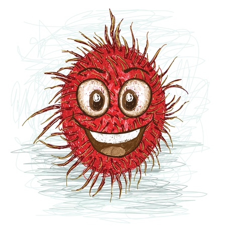 happy red rambutan cartoon character smiling   のイラスト素材