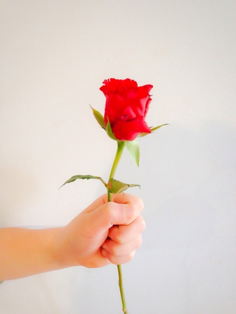 A gift from a child の素材