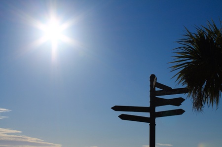 Multidirectional signpost の素材