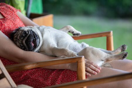 woman holding dog pug breed and sleep in her arm relax and comfortableの写真素材