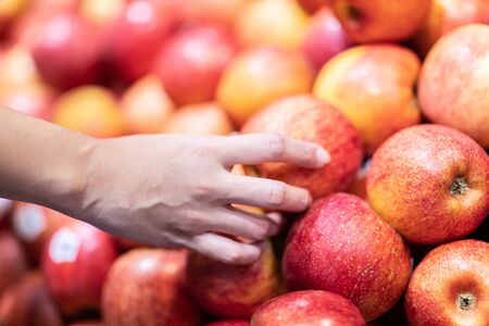 woman holding apple to choose fresh apple best fruit for good health in bunch and buying in...