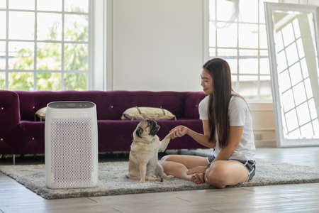 Woman playing with Dog Pug Breed and Air purifier in cozy white bed room for filter and cleaning removing dust PM2.5 HEPA in home,for fresh air and healthy life,Air Pollution Conceptの写真素材