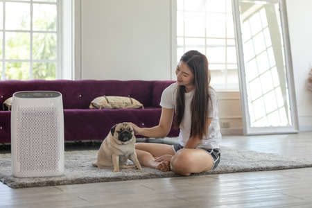 Woman playing with Dog Pug Breed and Air purifier in cozy white bed room for filter and cleaning removing dust PM2.5 HEPA in home,for fresh air and healthy life,Air Pollution Conceptの写真素材