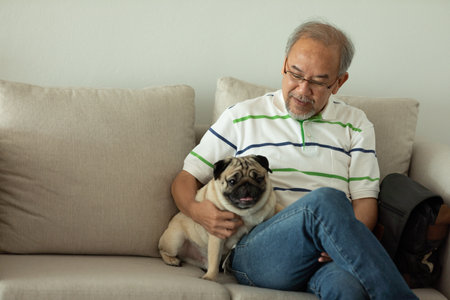 Elderly sit on sofa and playing with dog pug breed in living room at homeの写真素材