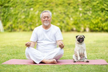 Calm of Healthy Asian Elderly man with white hairs doing yoga lotus pose for meditation with dog pug breed on green grass at park,Wellness Senior Recreation with yoga conceptの写真素材