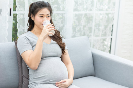 Healthy pregnant Asian woman drinking milk, sitting comfortably on a sofa, maternal nutrition conceptの写真素材