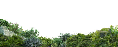 Green bush isolated on white background 3d illustration. Forest and foliageの写真素材
