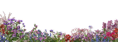 3D rendering of a field of garden flowers isolated on white backgroundの写真素材