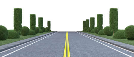 Asphalt road with trees on a white background. 3d rendering