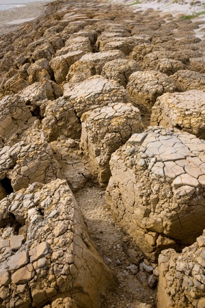 Dry soil textureの写真素材