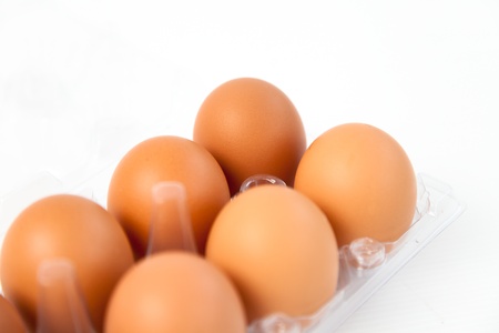Chicken egg on white background