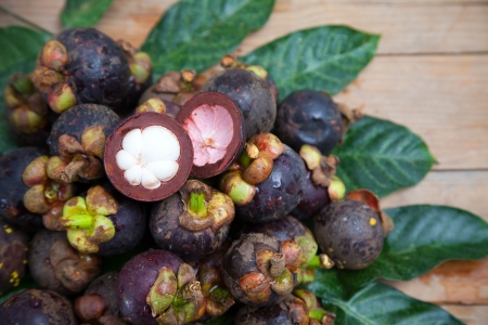 Mangosteen is one of delicious thai fruitの写真素材