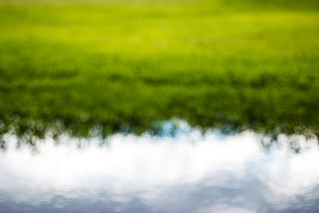 Bokeh green and white abstract background.の写真素材