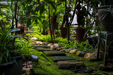 Home garden, Garden design green trees in the house. Walkway stones with mos.の写真素材