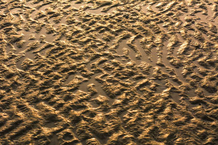 Sand on the beach with sun lightの写真素材