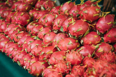 Dragonfruit harvest in the fruit marketの写真素材