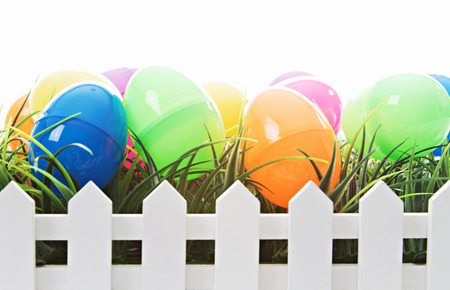 Easter Eggsの写真素材