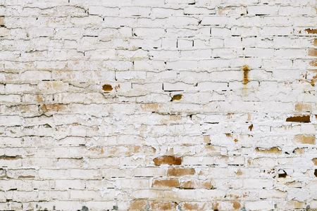 White Brick Backgroundの写真素材