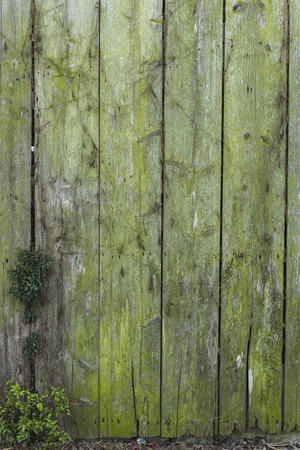 Barn Wood Backgroundの写真素材