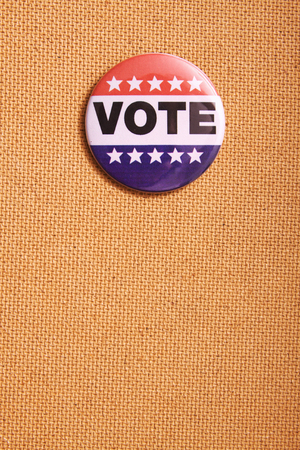usa voting pin