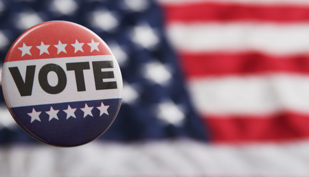 USA Voting Pin