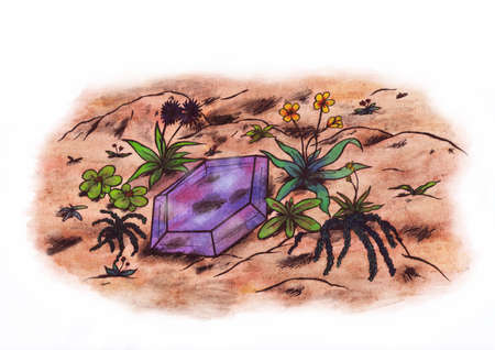 A violet gem surrounded by several plantsの写真素材