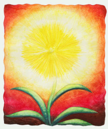 A yellow flower like a shining sunの写真素材