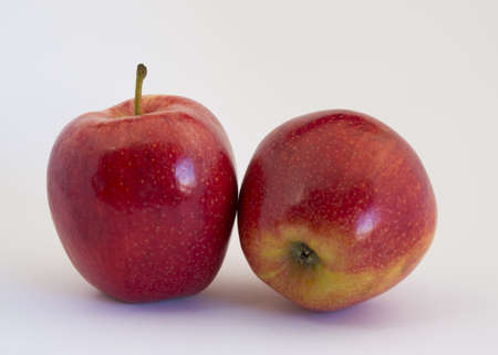 Red applesの写真素材