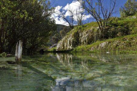 Stillness of reflexesの写真素材