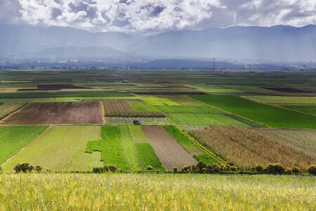 Agricultural crops in sicayaの写真素材