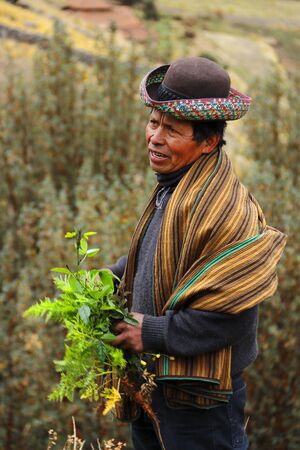 Ayacucho. November 9, 2015 - technological leader of the peasant community of Chakicochaのeditorial素材