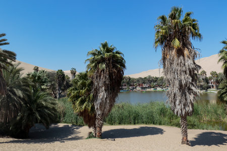 An oasis in the middle of the desert, so is this small lagoon called Huacachina in Ica - Peru; It is a popular tourist destination for its unusual scenic beauty.の写真素材
