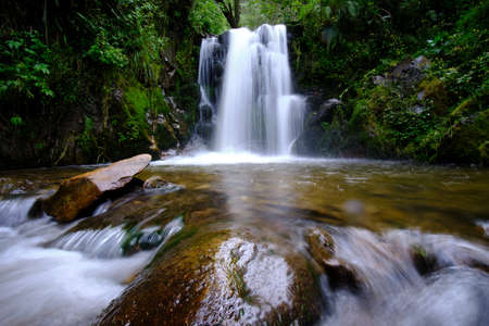 Beautiful landscape of inter-Andean forest where a stream of water runs that forms waterfalls and a...