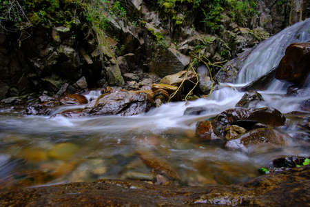 Beautiful landscape of inter-Andean forest where a stream of water runs that forms waterfalls and a...