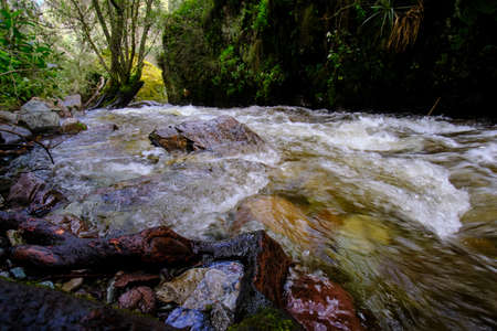 Beautiful landscape of inter-Andean forest where a stream of water runs that forms waterfalls and a small river.の写真素材