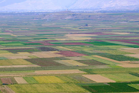 Scenery of agricultural crops in the Mantaro Valley at dawn.