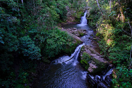 Interior of the central jungle of Peru, dense vegetation with rivers and waterfalls full of purity...