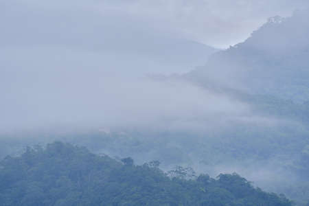 Beautiful view of cloudy forest at sunrise surrounded by the cool mist.