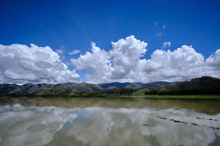 Beautiful scene of Paca Lagoon, stunning landscape, and fragile ecosystem.