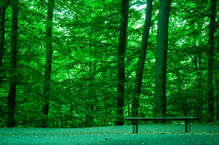 Where we metの写真素材