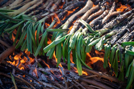calcots roasting on grillの写真素材