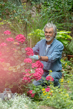 Senior adult gardening