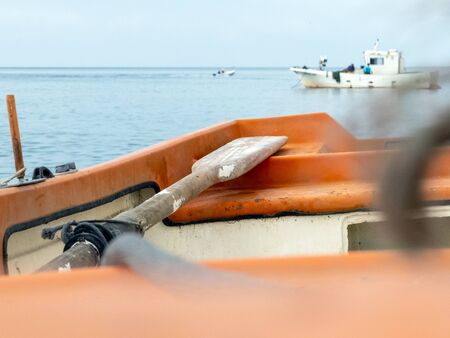 Rowing boat docked on beach shoreの写真素材