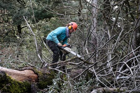 Lumberjack woman with chainsawの写真素材