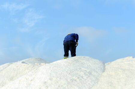 Worker working on mountain of saltの写真素材