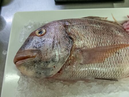 Fresh fish in restaurant kitchen
