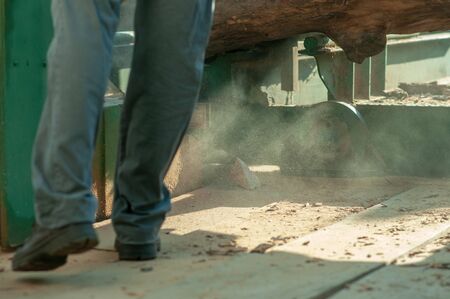 Industrial sawmill sawsの写真素材