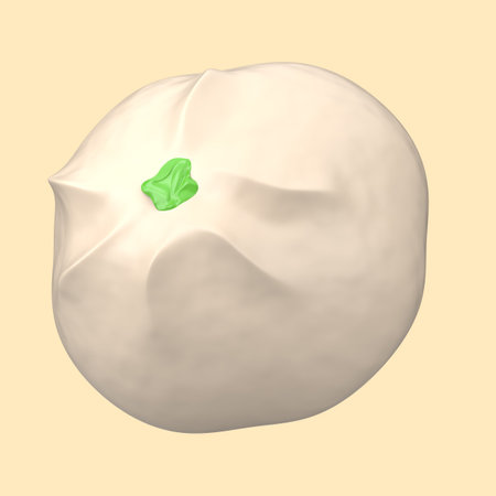 3d rendering of bakpao icon isolated on cleare background.の写真素材