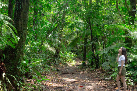 Woman in the jungle observing natureの写真素材