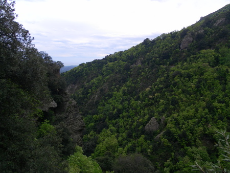 Corsican mountain green landscapeの写真素材